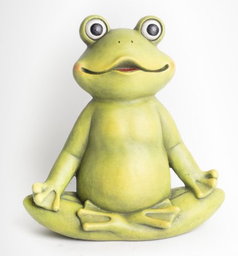 AUSSEN.FROSCH TÜRKISCH 32*17