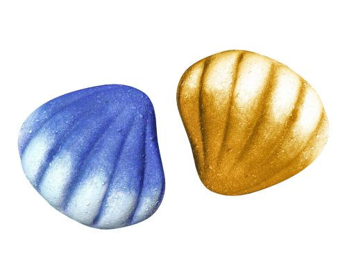 K.MUSCHEL SHELL 2FARB/11CM