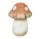 K.PILZ GEPUNKTET V.BRAUN6,3