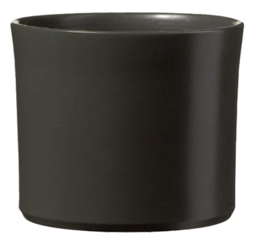 K.KASTANIENMIAMI M.ANTHRAZIT36*31