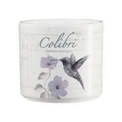 K.KAS.V.ANIMALS COLIBRI 8*7