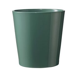 K.KAS.DALL.BREEZE T.ZÖ16*15