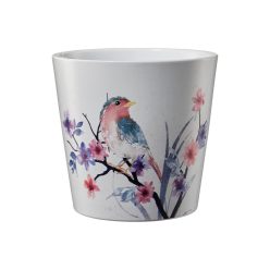 K.KAS.DALL.AQUAR.VOGEL14*13