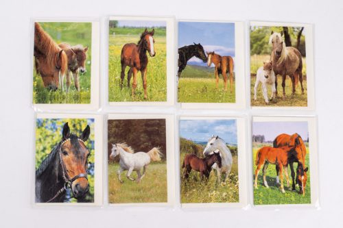 GRUSSKARTE/PFERD 9CM 8S/STÜCK