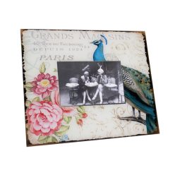 BILD PFAU+ROSE 30*25