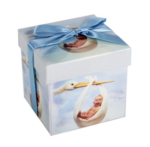PD.BABY+ENTE+KARTE 15*15CM