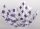 MŰA.PLATE RIM.PURPLE/WHI18