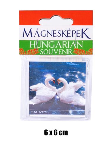HM.SOUV.BALATON/SCHWAN 6*6CM