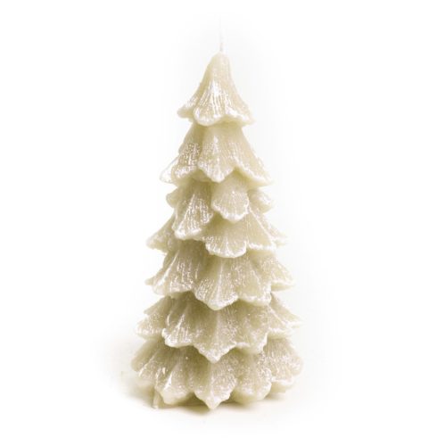 GY.TANNENBAUM BRAUN      10*20