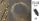 WELT.DRAHT KRANZ 2D 250L 50