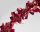 BOA BREITE BLATT ROT12CM*2M