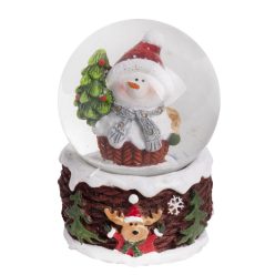 P.HAV.G.SCHNEEMANN+FFA 4,5*6,5