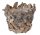 HOLZ WURZELAUFLAGE "V" NATUR23*19