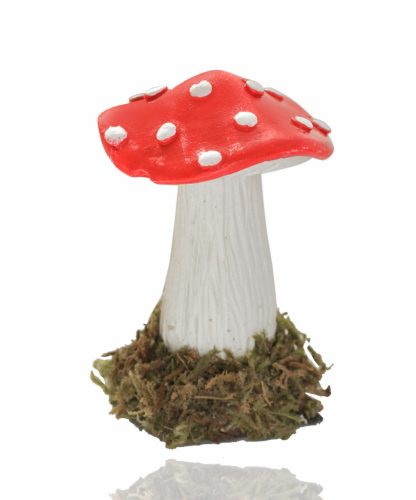 P.PILZ+MOOS PIR.HUT 6,2