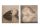 HOLZ BILD MUSCHEL/SCHATTEN2S40*40