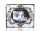 BILD CHEF LE NORMAND 30*25