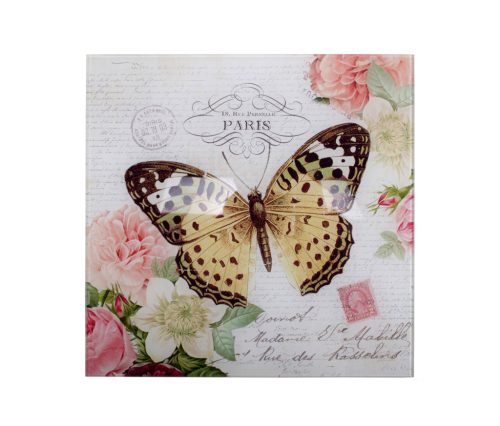 BILD SCHMETTERLING 30*30