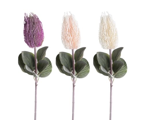 BANKSIA ZWEIGE 1ST/6BLÄTTER 3ST 68
