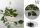 LED FOTO GIRLANDE 20L 220CM