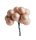 Ü.KD.PICK BEERE*144BAUMW1,5