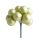 Ü.KD.PICK BEERE*144TÜ.MA1,5