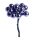 Ü.KD.PICK BEERE*144F.LI1,5