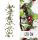 GIRLANDE BEERE+BLATT PIR.120