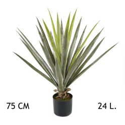 YUKKA GRÜN 24BLÄTTER 75CM