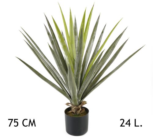 YUKKA GRÜN 24BLÄTTER 75CM
