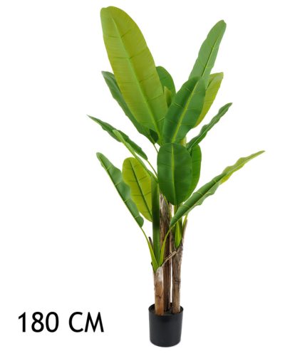 BANANENBAUM GRÜN 3STÄMME 180CM