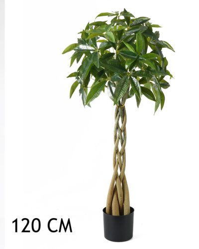WILDKAKAO 4STÄMME GRÜN 120CM