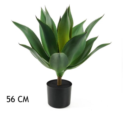 GRÜNE AGAVE 56CM
