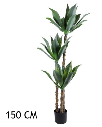 AGAVE 3 STÄMME 150CM