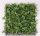 GRÜNER WÜRFEL 50*50CM
