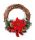KLOPF BLUMIGER ILEX ROT25