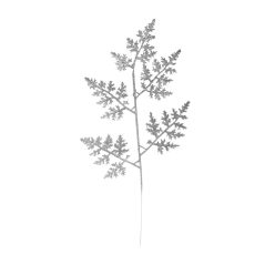 DEK.ZWEIG THUJA GL.SILBER   47CM