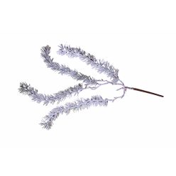 TANNENBAUM JUTEZUG       60