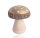 HOLZ PILZ BUNT GOLD PUNKTE8*10