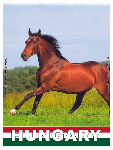 HM.METALL "UNGARISCHES PFERD" 9*6,5