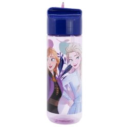 Disney Frozen Hydro-Kunststoffflasche - 540 ml