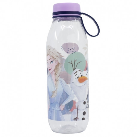 HYDROFLASCHE MIT HAKEN 650 ML Disney Frozen