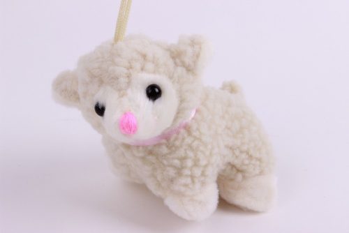 KLEINES SCHAF