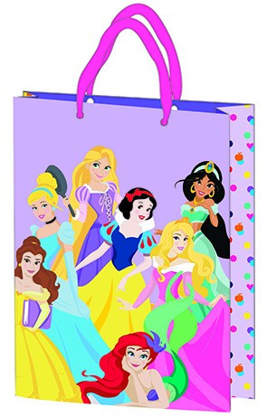 Geschenktüte 23x18x8,5cm, laminierte Kunststoffoberfläche - Disney Princess