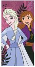 Disney Frozen Eco Friendly schnell trocknendes Strandhandtuch - 70x140 cm