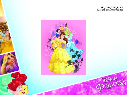 Disney Prinzessinnen Fleece-Decke - 100 x 150 cm